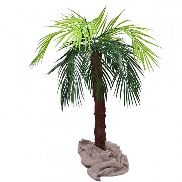 Palmen mit ausladender Krone